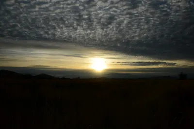 DSC_3110 (Large).JPG